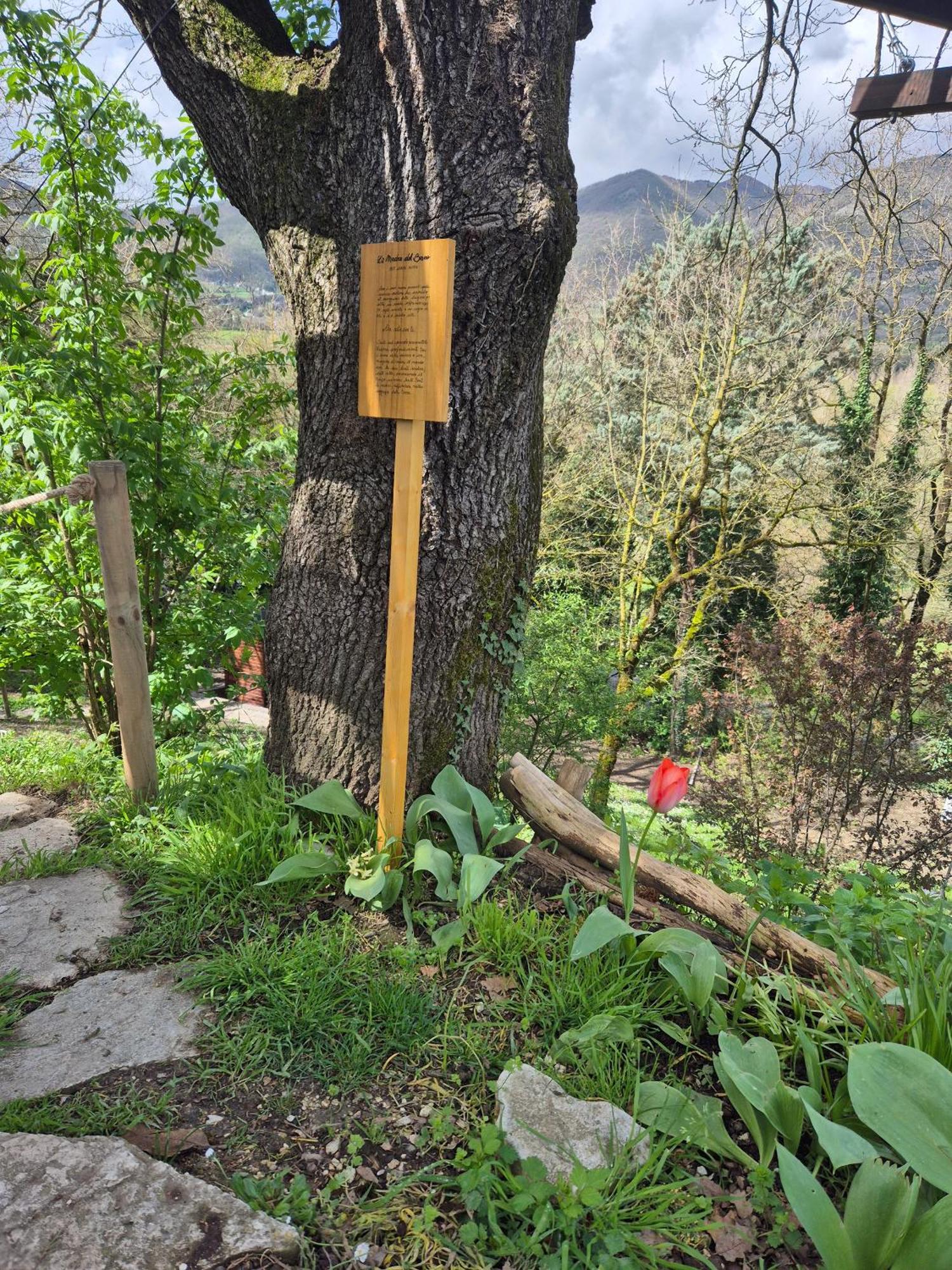 B&B Colle Di Terria Country House Contigliano Exterior photo