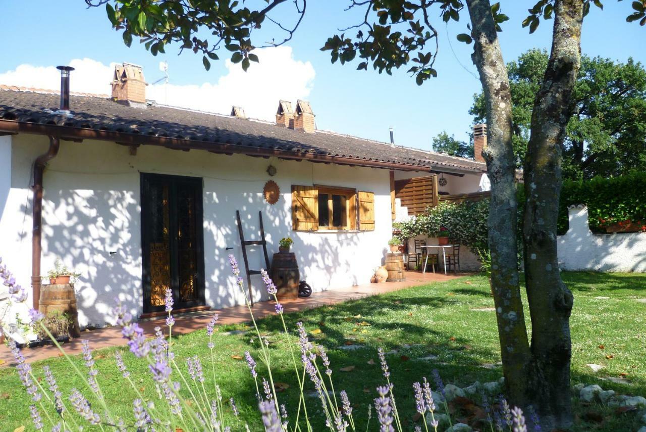 B&B Colle Di Terria Country House Contigliano Exterior photo